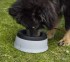 Non Spill Dog Bowl